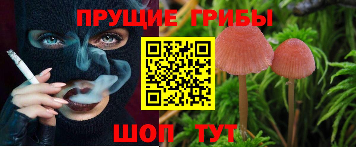 Псилоцибиновые грибы мухоморы  Вход с VPN  Реутов  Галлюциногенные грибы Psilocybine cubensis 